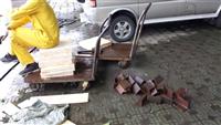 assembly workshop